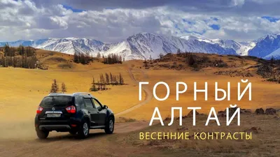 🌺 Алтай в розовом цвете.