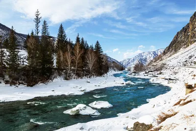 Куда поехать на Алтае зимой — фото, красивые места, что посмотреть, чем  заняться, отзывы, экскурсии