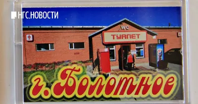 В продаже появились магнитики с видом на «градообразующий» туалет в  Болотном - 24 октября 2017 - НГС