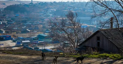 Город корсаков фото фотографии