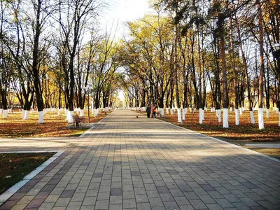 Городской парк, парк культуры и отдыха, Кабардино-Балкарская Республика,  Урванский район, Нарткала, озеро Комсомольское — Яндекс Карты