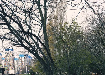 весенний город :: Олег Лукьянов – Социальная сеть ФотоКто