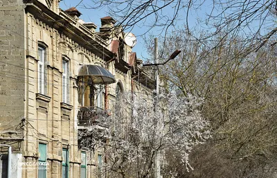 Весна в Южном городе -Новости