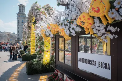 Весна в городе: на Пятой авеню в Нью-Йорке зацвели тысячи цветов
