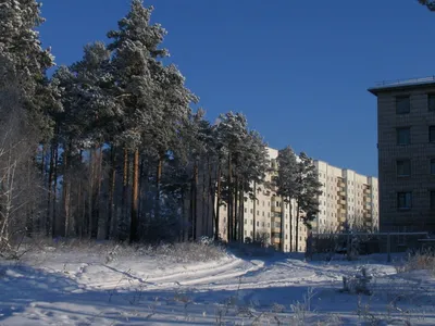 Зимние путешествия