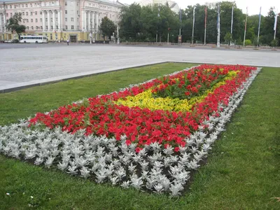 Цветущий город: 350 тысяч цветов украсили Южно-Сахалинск за лето -  MagadanMedia