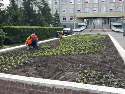 Устройство цветника в Набережных Челнах - Озеленение - Ремонт и  строительство: 66 ландшафтных дизайнеров