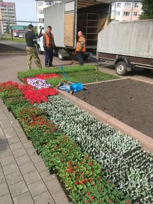 Кому нужны городские цветы? » Администрация города Луганска - Луганской  Народной Республики