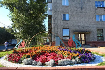 Краски весны – городские цветы | Официальный портал МО «Выборгский район»  Ленинградской области