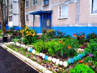 Омичи воруют цветы с городских клумб | Общество | Омск-информ