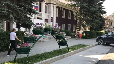 Полмиллиона цветов высадят в Иркутске на городские клумбы — ВСП.RU