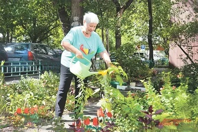 На городских клумбах Костромы завершается посадка цветов | ГТРК «Кострома»