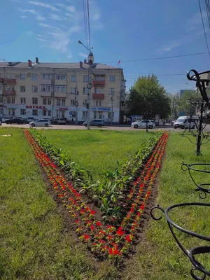 Во Владимире начали высадку однолетних растений - преобразятся городские  клумбы и стационарные инсталляции