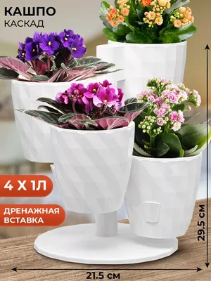 Горшок цветочный маленький для фиалок, кактусов, суккулентов - набор 5 шт.  - купить с доставкой по выгодным ценам в интернет-магазине OZON (980160562)