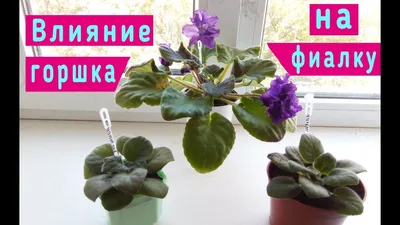 ᐈ Горшок-кашпо для цветов DH-FLOWERS-25 M Белый оптом от производителя MVM