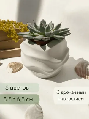 Кашпо для суккулентов / Горшок для кактусов, 8,5 х 6,5 см, белый - купить с  доставкой по выгодным ценам в интернет-магазине OZON (639614639)