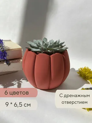 Горшок для кактусов / Кашпо для суккулентов, 9 х 6,5 см - купить с  доставкой по выгодным ценам в интернет-магазине OZON (633200229)
