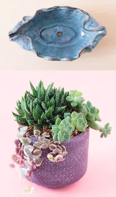 Выбор горшка для суккулента :: myPlants
