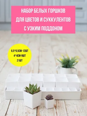 Кашпо для кактусов и суккулентов из переработанного пластика в магазине  «Никита Грузовик» на Ламбада-маркете