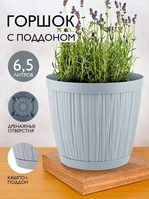Горшок для цветов маленький кашпо 0,45 л 3 шт MITBAH 116322429 купить за  550 ₽ в интернет-магазине Wildberries