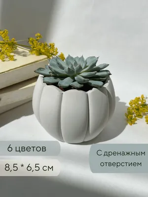 Горшок, кашпо для цветов, орхидеи, суккулентов, кактусов, фиалок, растений,  фикуса цветочный, пластиковый большой напольный с поддоном, горшки пластик  для балкона на подоконник \"Barcelona\" - купить с доставкой по выгодным  ценам в интернет-магазине