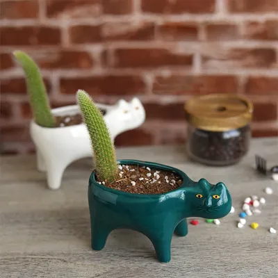Купить Горшки для цветов КАКТУС м 0,2л недорого по цене 90руб.|Garden-zoo.ru