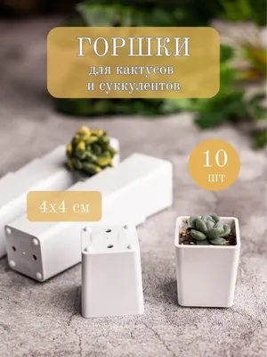Засухоустойчивый горшок для суккулентов, горшки для растений в  скандинавском стиле, индивидуальный горшок маленького человека для дома –  лучшие товары в онлайн-магазине Джум Гик