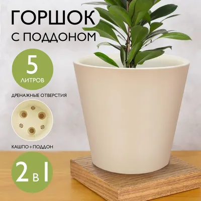 Горшки для суккулентов \"Цветные грани\" - Всё для флорариума