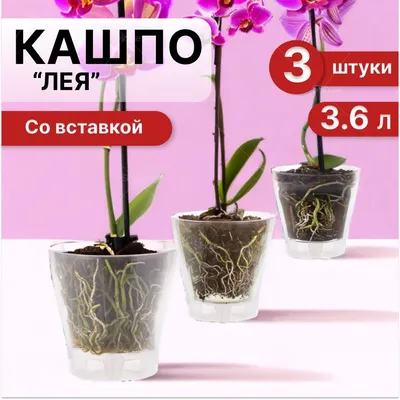 Горшок цветочный для орхидеи с поддоном, объем 3,5 л (прозрачный) арт.  M1606 – купить в Москве по цене 197 руб. в интернет-магазине Posuda.ru