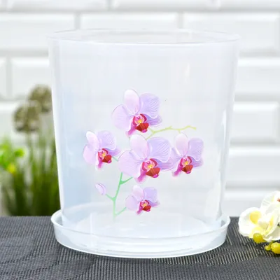Горшок для орхидей - Космос в магазине «Flower3d» на Ламбада-маркете