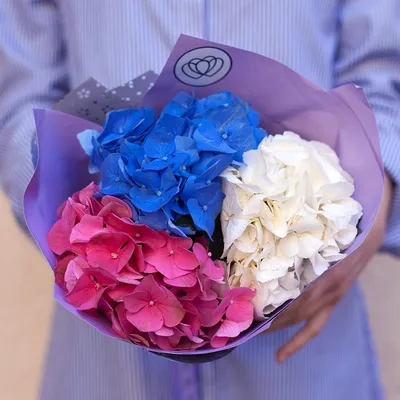 Заказать Букет розовой гортензии с доставкой по СПб | Цветы недорого в  интернет-магазине цветов Флористка Кэт