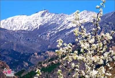 Весна в Кыргызстане | Trip to Kyrgyzstan