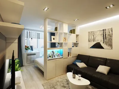 Гостиная и спальня в одной комнате: превратите свои 20 кв. м в  функциональное и стильное пространство [92 фото]