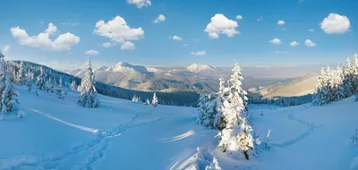 зима взгляда Украины держателя Goverla Стоковое Фото - изображение  насчитывающей держатель, зима: 17027394