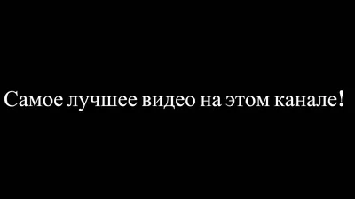 Говно медведя: природа в объективе