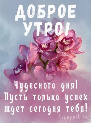Букет цветов \"Доброе утро\" - купить с доставкой по Москве по цене 3 120.00  рублей