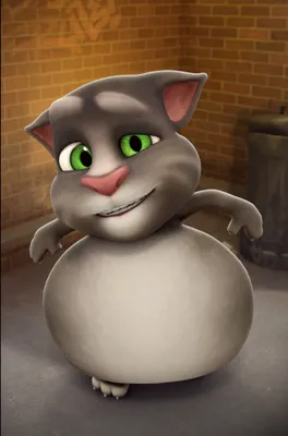 Говорящий Том (Talking Tom) - Фильмы и сериалы