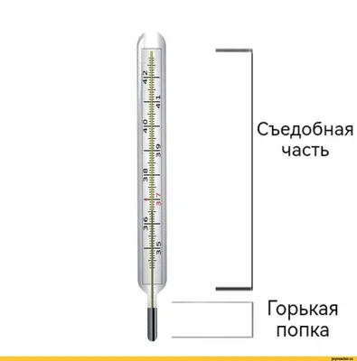 Держи градусник крепче! — Газета «Алатырские вести»