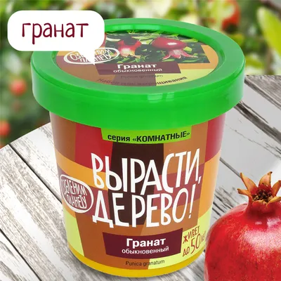 Гранат с бесплатной доставкой на дом из «ВкусВилл» | Санкт-Петербург