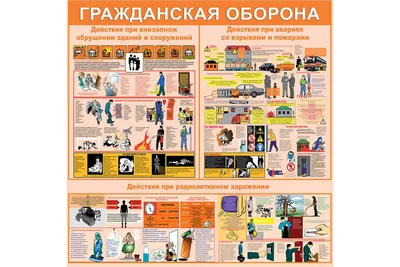 Audio CD Гражданская Оборона. Посев - купить по низким ценам в  интернет-магазине OZON (198159408)