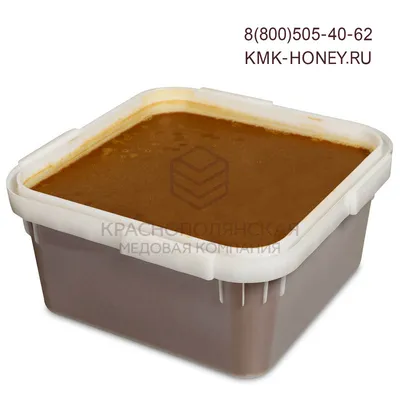 Гречишный мёд - купить, цена в СПб| Союз пасечников