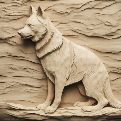 Гренландская собака: фото, описание породы, характера, ухода