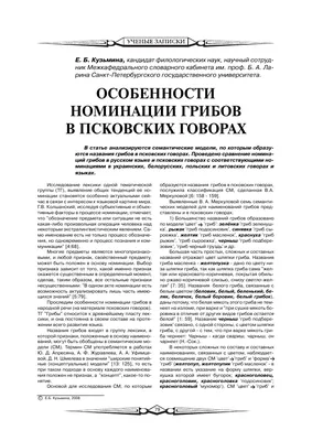 Чернышковский район, Волгоградская область, Сайт газеты Новости  Чернышковского района, Лучший грибник