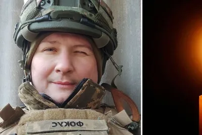 Гриб Ольховик (69 фото) »