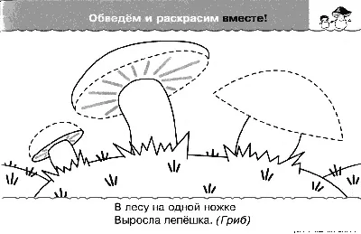 Грибы картинки для детей - игра развивающая найди тень - Раннее развитие