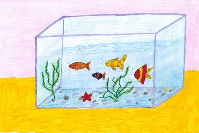 Белый налет в аквариуме: что делать? | PROpets | Дзен