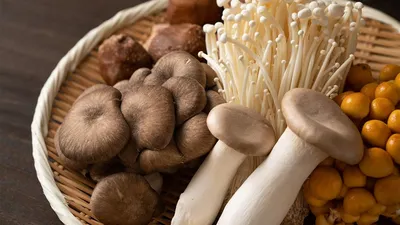Какие грибы есть на Селигере? | Отдых на озере Селигер осенью – жилье для  отдыха Яр