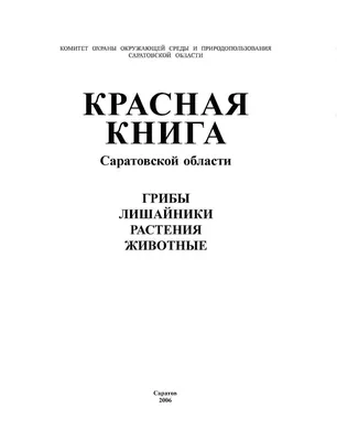 Южноуральцы вёдрами понесли из лесов белые грибы | Pchela.news - Новости в  Челябинске