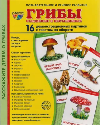 Как отличить ядовитые грибы от съедобных? | Справедливый | Дзен