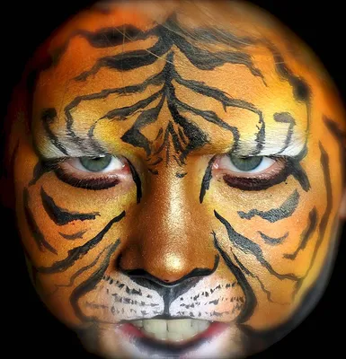 Макияж тигра на лице - 74 photo